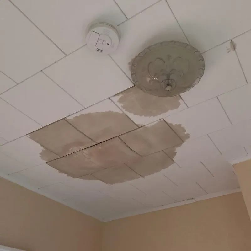 Ceiling Water Damage Repair in Crawfordsville, IN