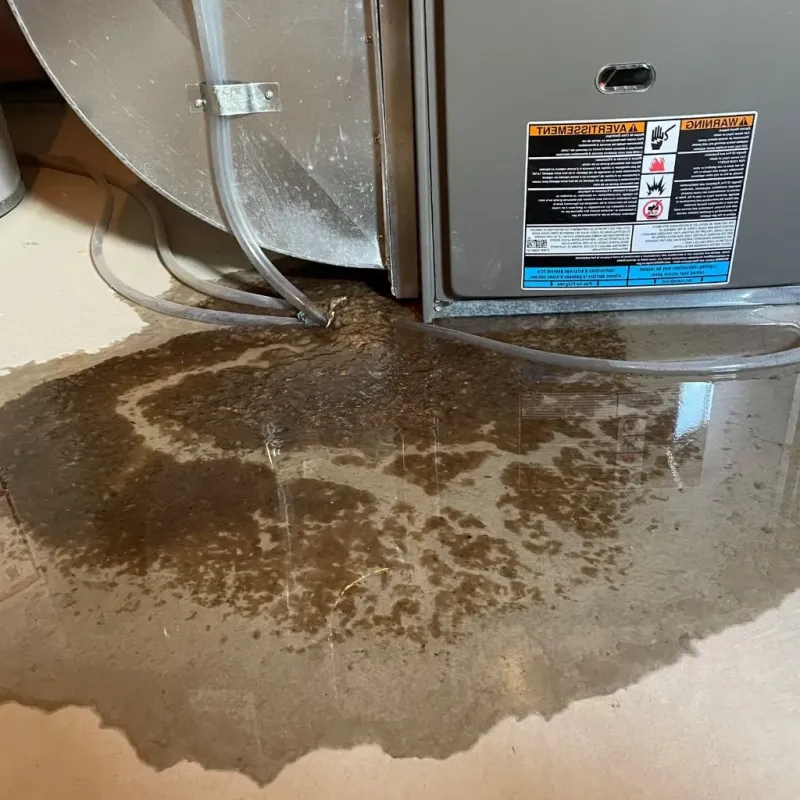 Pipe Burst and Leak Restoration in Crawfordsville, IN