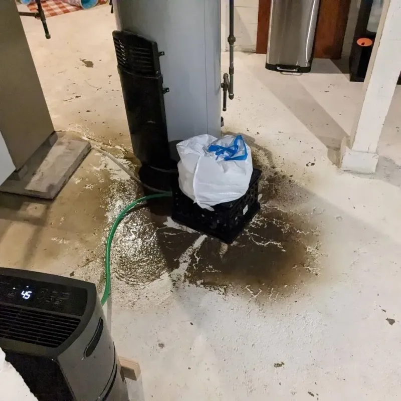 Sewage Backup Cleanup Service in Crawfordsville, IN